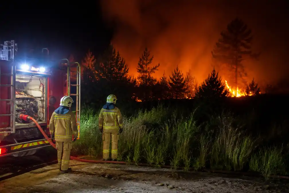 Natuurbrand uitgebroken in Mechelse Heide in Maasmechelen