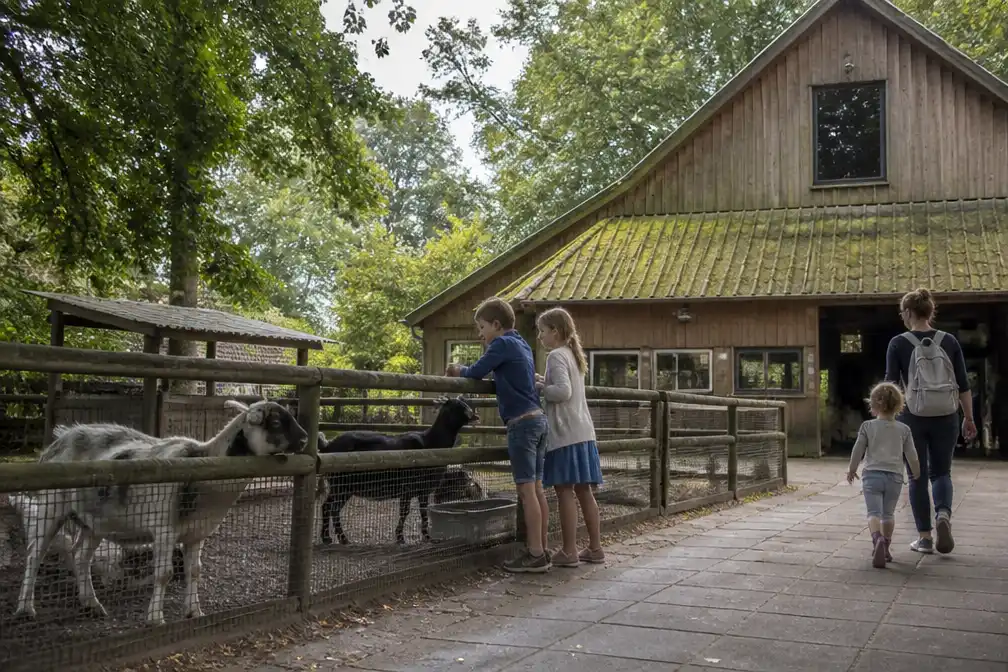 Kinderboerderij Mikerf in Brasschaat annuleert markt om STEC-onderzoek