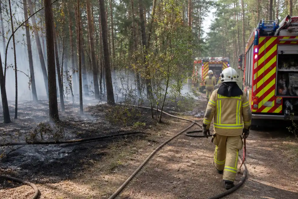 Natuurbrand in Lanklaarderbos laait opnieuw op; brandweer Oost-Limburg telt 15 interventies