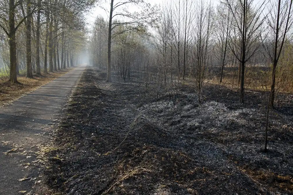 Opzettelijke brandstichting bevestigd bij natuurbranden in Genk en Dilsen-Stokkem, onderzoek gestart