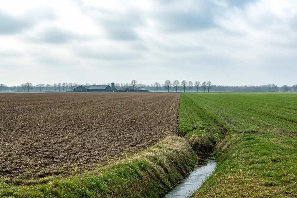 Prijs agrarische grond in tweede kwartaal 2026 met 6,7 procent gestegen
