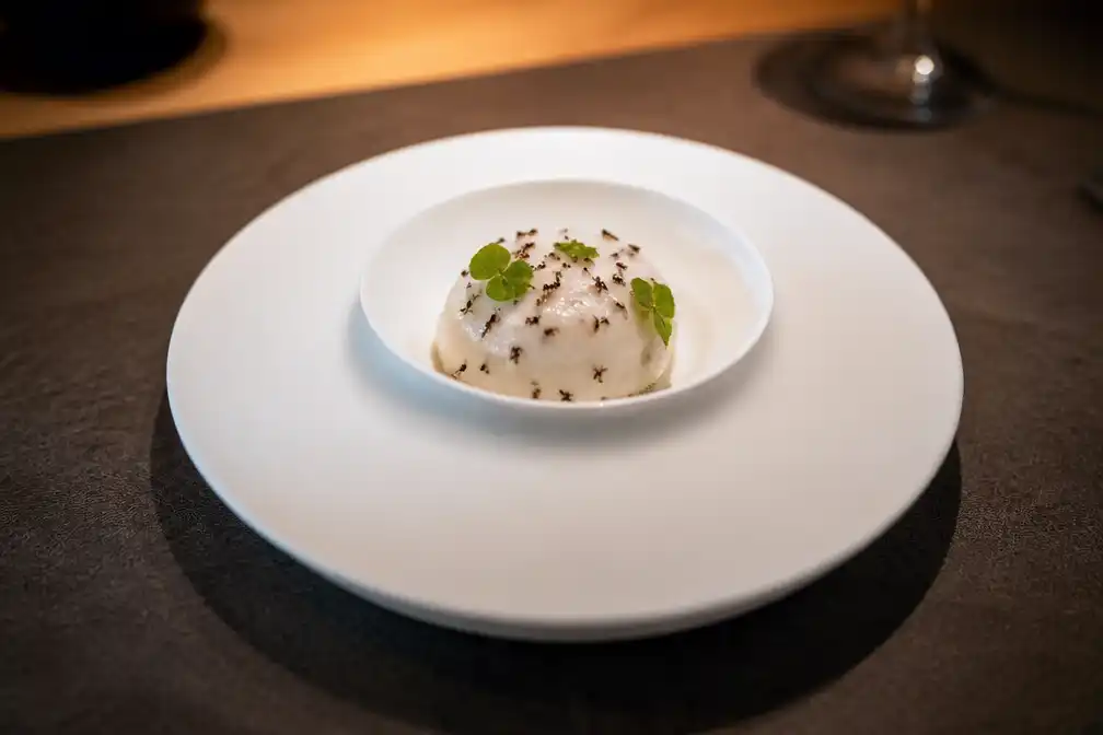 Michelin-restaurateur in Zuid-Korea riskert celstraf vanwege mieren in gerechten