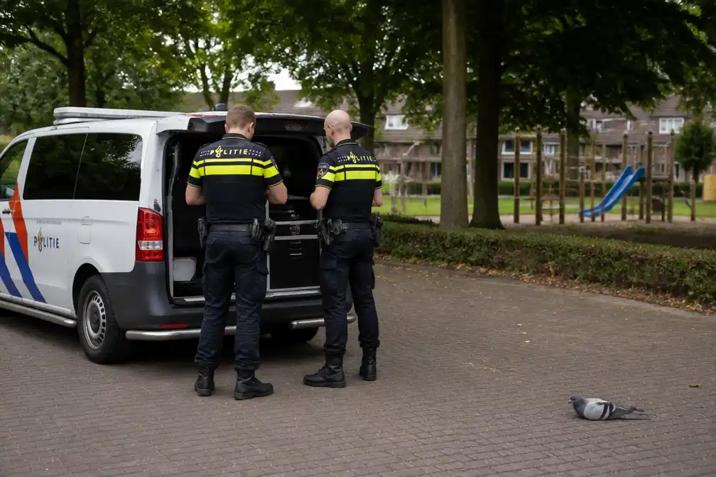 Politie vindt meerdere luchtdrukwapens na doodschieten duif in Eersel