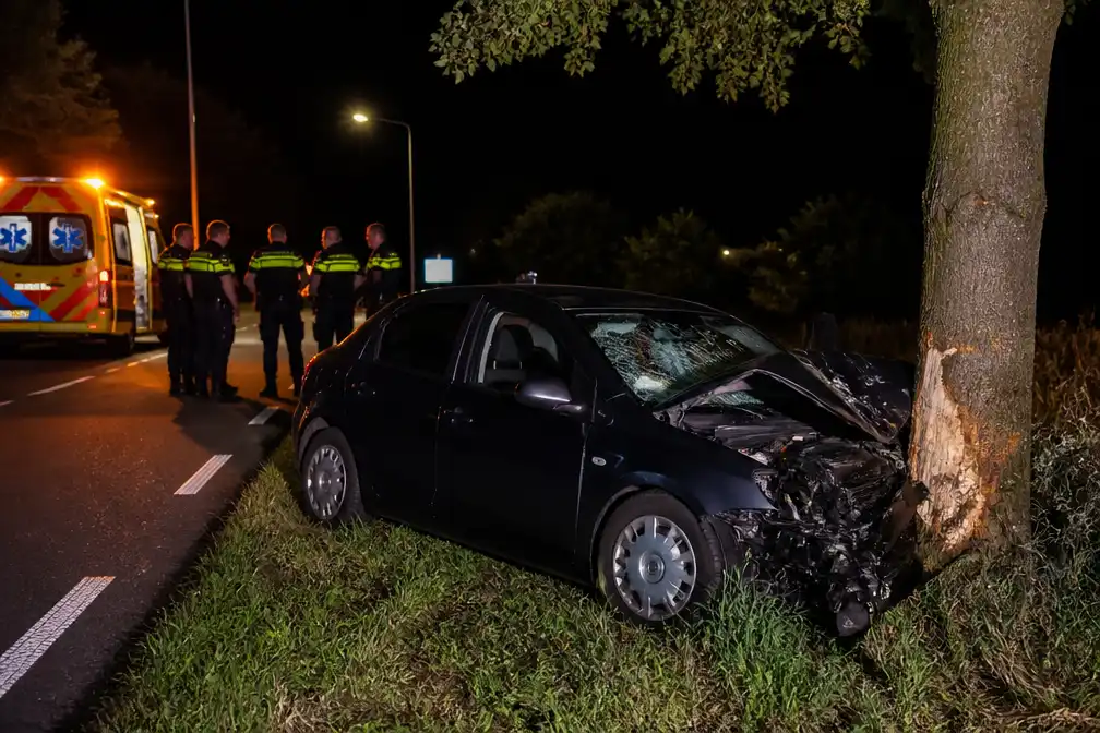Bestuurster bijt agent na botsing met boom in Eext