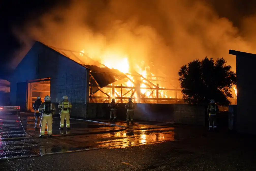 Brand verwoest loods met 200 ton stro in Zillebeke; 50 paarden ongedeerd