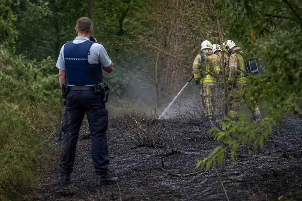 Meerdere branden in natuurgebied De Hooiberg in Haacht leiden tot politieonderzoek