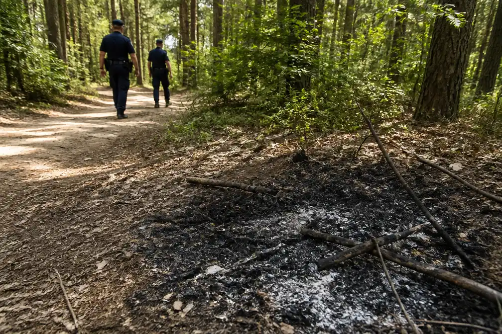 Burgemeester Rijkevorsel woedend om illegaal vuur in bos bij droogte