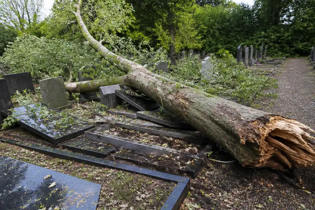 Nabestaanden Wildervank eisen steun gemeente na schade aan graven